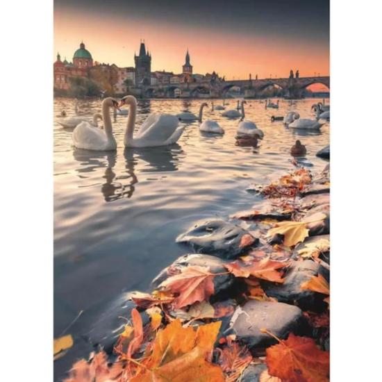 Puzzle Dino Cisnes no Vltava de 1000 peças