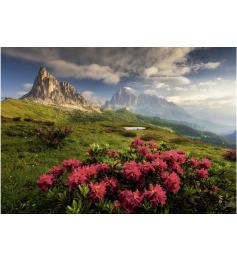 Puzzle Dino Dolomitas Italianos de 2000 Peças