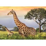 Puzzle Dino Familia Girafa de 1000 peças