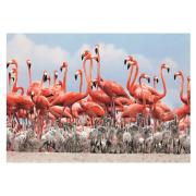 Puzzle Dino Flamingos 500 Peças