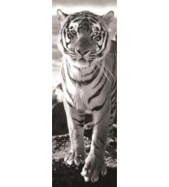 Puzzle Dino Tigre de 1000 Peças