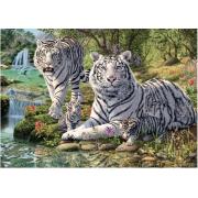 Puzzle Dino Tigres Albinos 1000 Peças