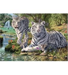Puzzle Dino Tigres Albinos 1000 Peças