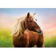 Puzzle Educa Horse at Dawn 500 peças