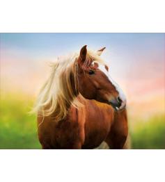 Puzzle Educa Horse at Dawn 500 peças