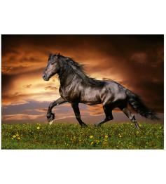 Puzzle Educa Cavalo a Galope 1000 Peças