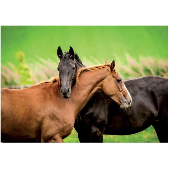 Puzzle Educa Cavalos 200 Peças