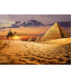 Puzzle Educa Camelo no Deserto de 1000 Peças
