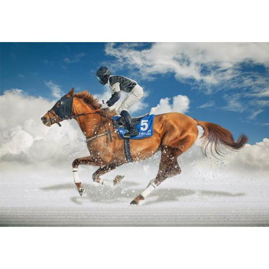 Puzzle Educa Corrida de Cavalos na Neve 1500 Peças