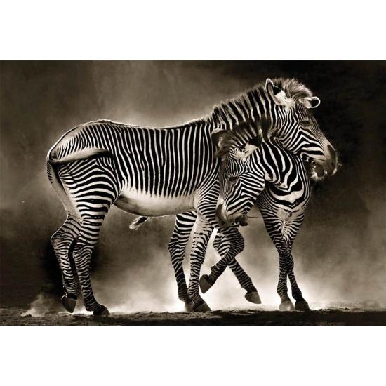 Puzzle Educa Zebras 500 peças Puzzle Educa Zebras 500 peças