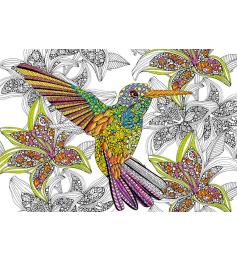 Puzzle Educa Hummingbird Color Me 300 peças