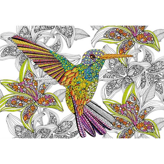 Puzzle Educa Hummingbird Color Me 300 peças