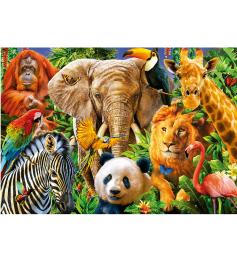 Puzzle Educa Colagem de Animais Selvagens de 500 Peças