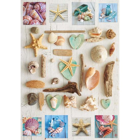 Puzzle Educa Colagem de Conchas 1000 Peças Puzzle Educa Colagem de Conchas 1000 Peças