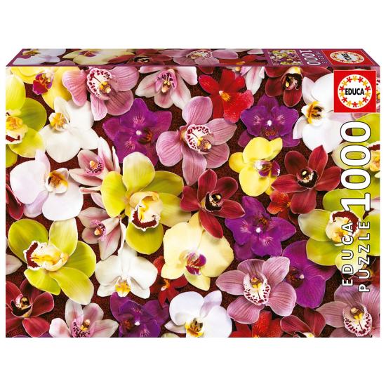 Puzzle Educa Colagem de Orquídeas de 1000 Peças