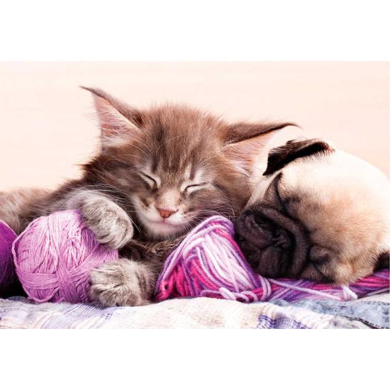 Puzzle Educa Dream Companions 500 peças