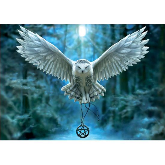 Puzzle Educa Desperte sua Magia de 500 Peças