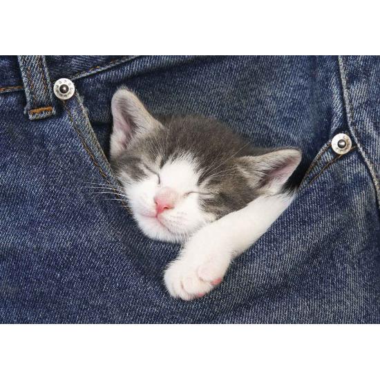 Puzzle Educa Sweet Dreams 500 peças