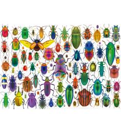 Puzzle Educa Besouros 500 Peças