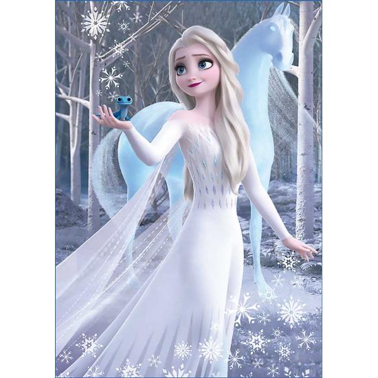 Puzzle Educa Frozen 2 de 2 x 500 peças