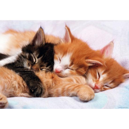 Puzzle Educa Gatinhos 500 Peças