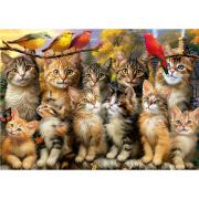 Puzzle Educa Gatinhos e Pássaros, 500 Peças