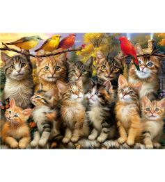 Puzzle Educa Gatinhos e Pássaros, 500 Peças