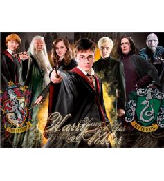 Puzzle Educa Harry Potter 1000 peças