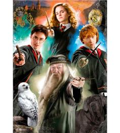 Puzzle Educa Harry Potter de 500 peças