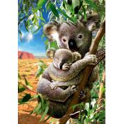 Puzzle Educa Koala com seu filhote de 500 peças