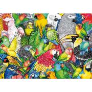 Puzzle Educa Papagaios 500 Peças