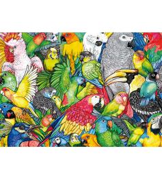 Puzzle Educa Papagaios 500 Peças