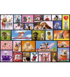 Puzzle Momentos Compartilhados Educa 1000 Peças