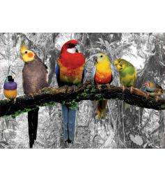 Puzzle Educa Pássaros na Selva 500 Peças
