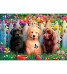 Puzzle Educa Cachorrinhos 100 Peças