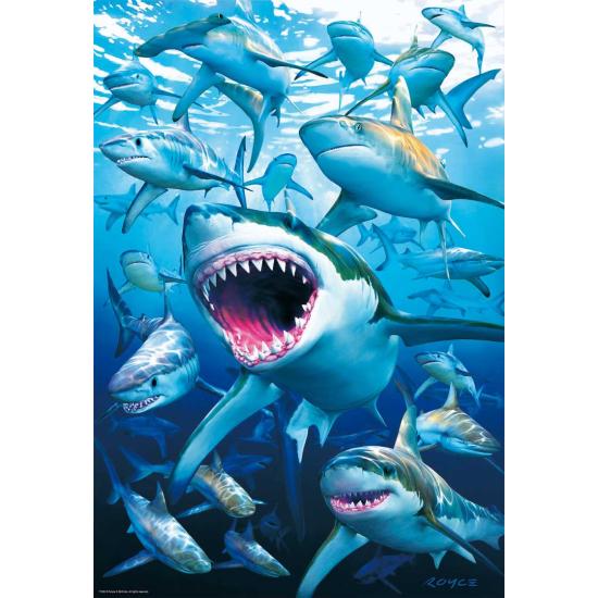 Puzzle Educa Sharks 500 Peças