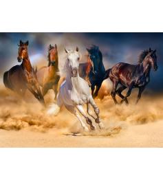 Puzzle Enjoy de Cavalos Correndo no Deserto 1000 Peças