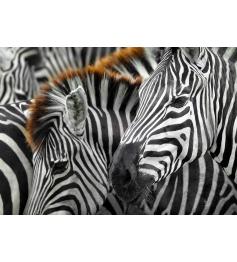 Puzzle Enjoy Zebras de 1000 Peças