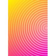 Puzzle Enjoy Circle Gradient Número 2 de 1000 Pzs