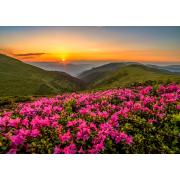Puzzle Enjoy Crepúsculo Rosa de 1000 Peças
