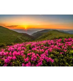 Puzzle Enjoy Crepúsculo Rosa de 1000 Peças