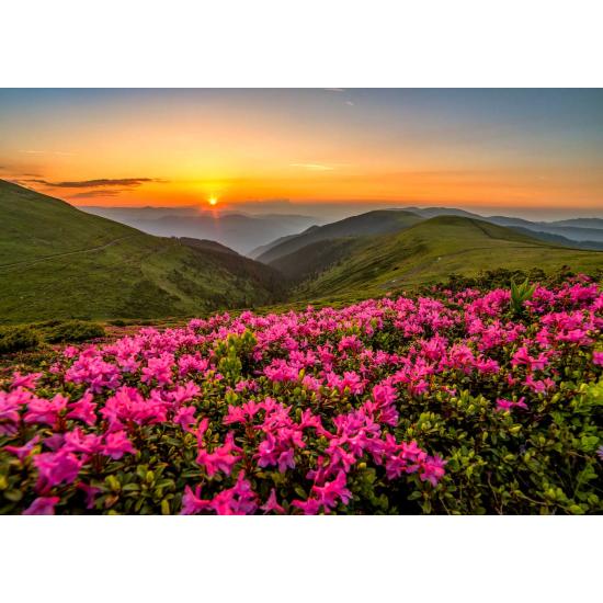 Puzzle Enjoy Crepúsculo Rosa de 1000 Peças