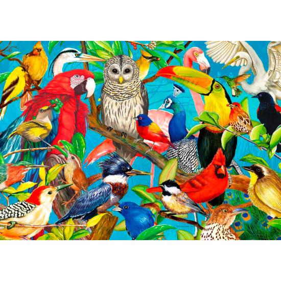 Puzzle Enjoy Frenesi Emplumado de 1000 Peças