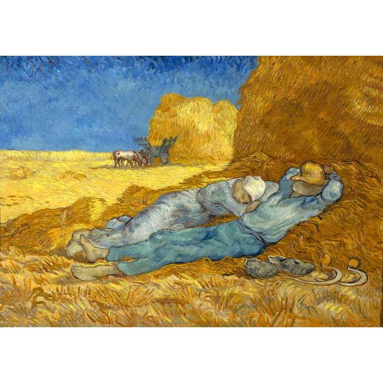 Puzzle Enjoy a Siesta 1000 Peças