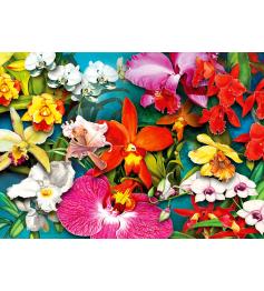 Puzzle Enjoy Selva de Orquídeas de 1000 Peças