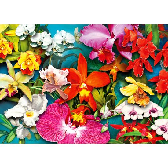 Puzzle Enjoy Selva de Orquídeas de 1000 Peças