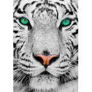 Puzzle Enjoy do tigre branco siberiano 1000 pe