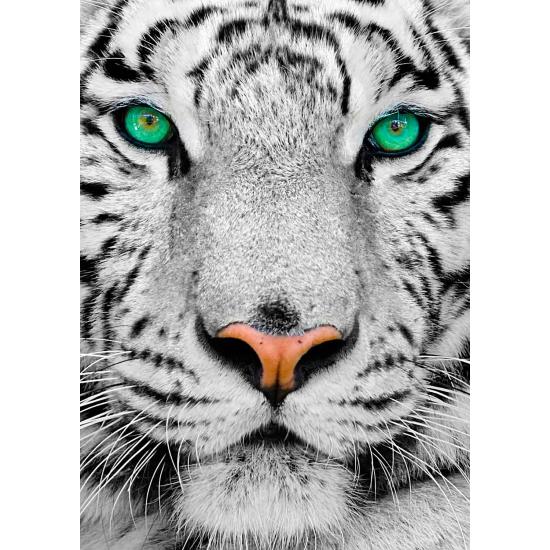 Puzzle Enjoy do tigre branco siberiano 1000 pe