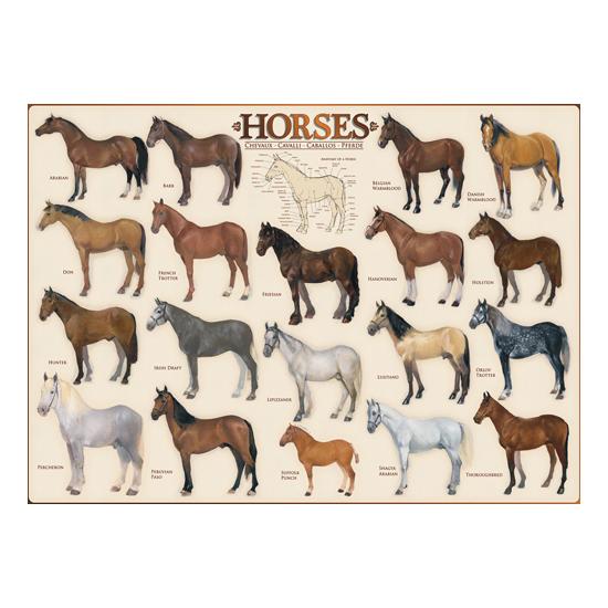Cavalos Eurográficos Puzzle 1000 Peças Cavalos Eurográficos Puzzle 1000 Peças