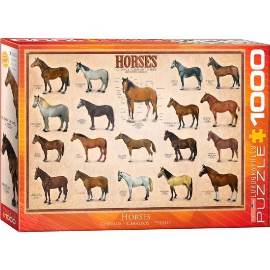 Cavalos Eurográficos Puzzle 1000 Peças Cavalos Eurográficos Puzzle 1000 Peças